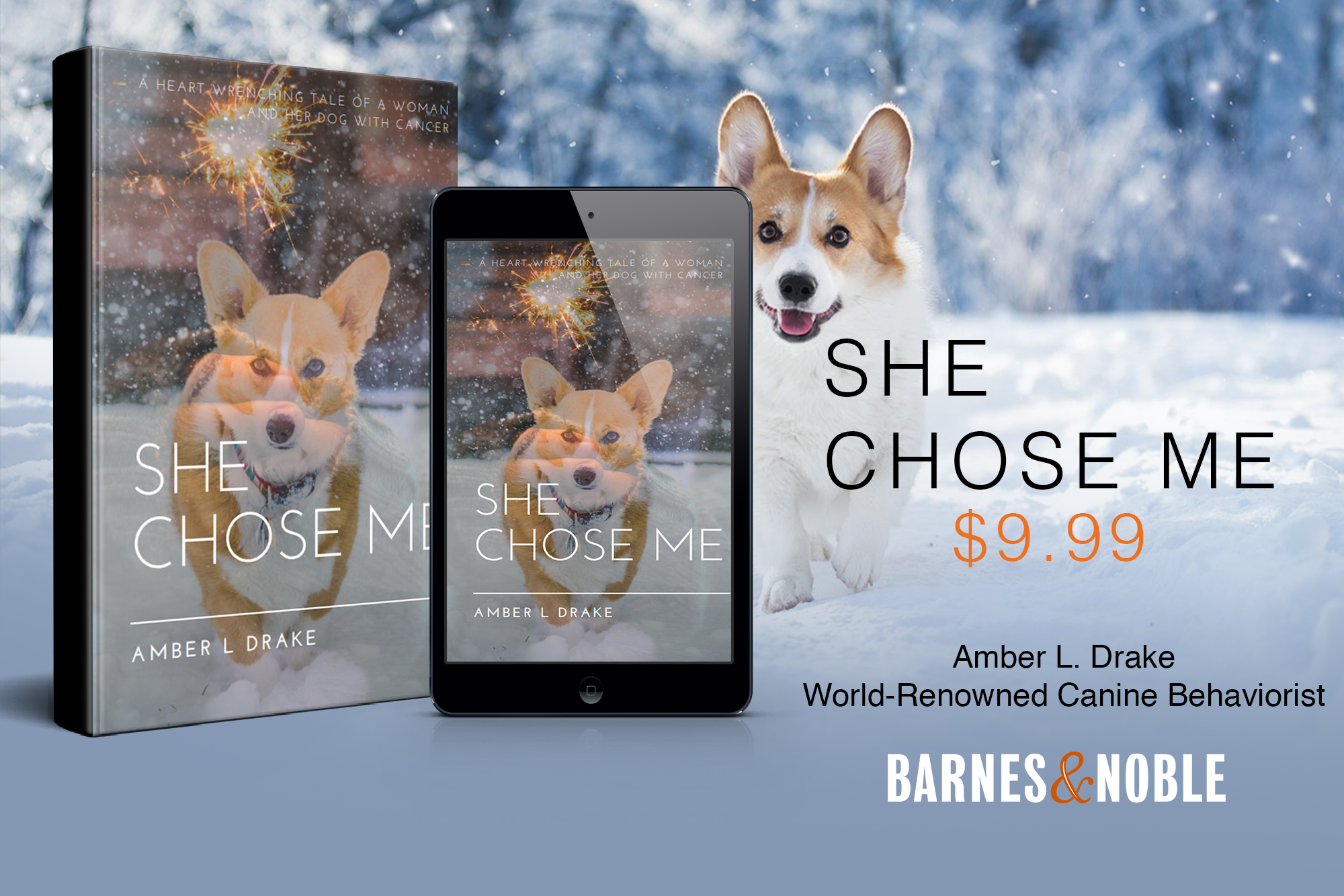 Barnes and Noble Dog Cancer Book