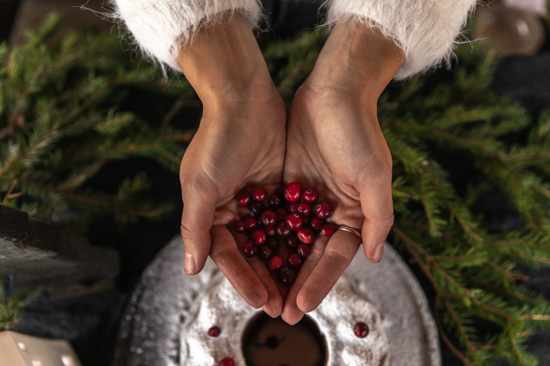 are cranberries dangerous for dogs