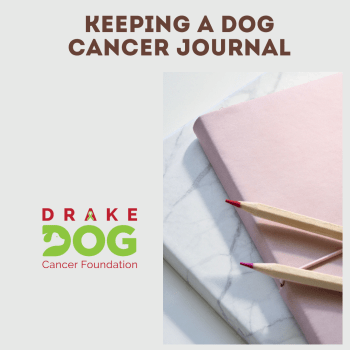 Dog Cancer Journal