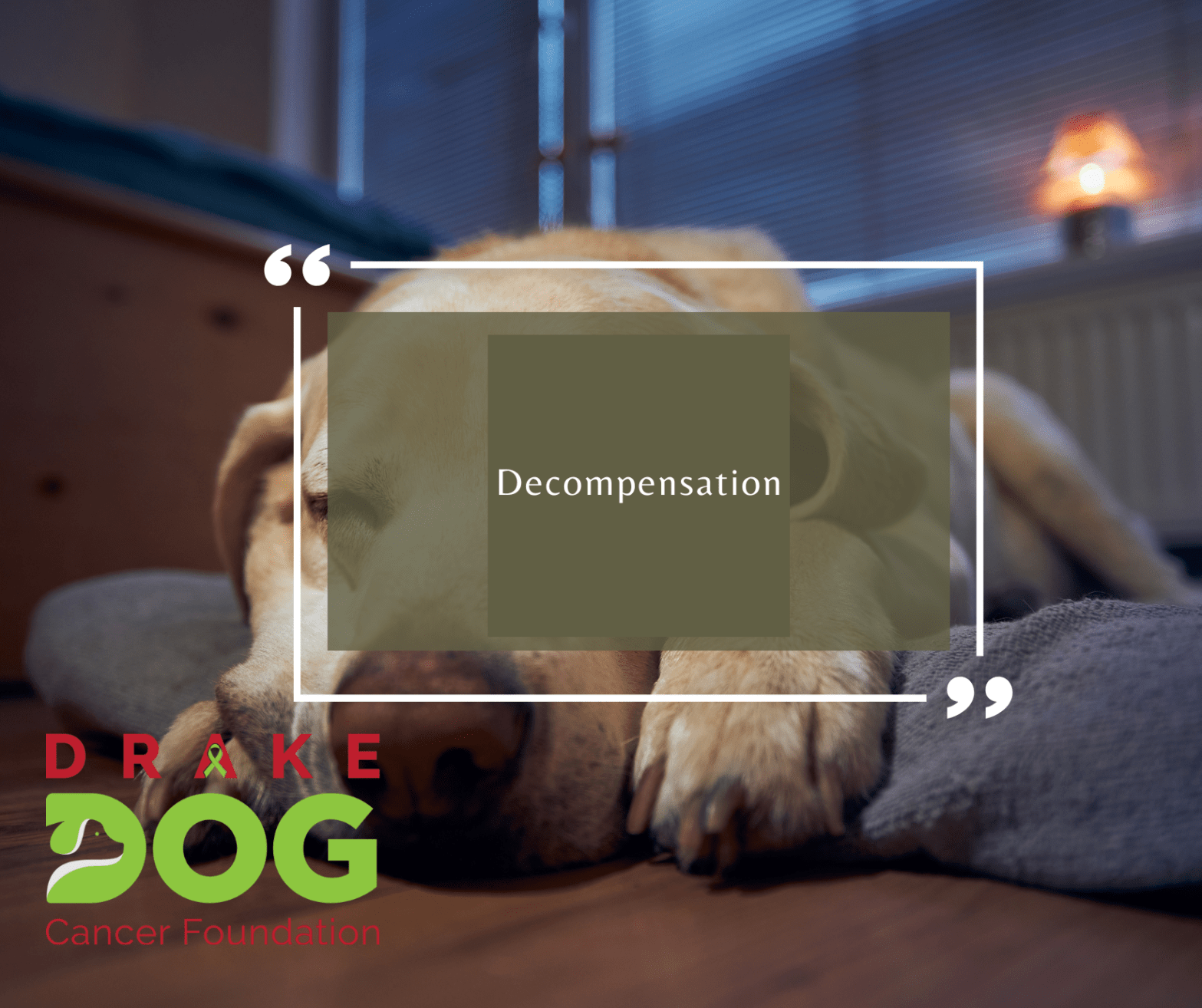 decompensation in dog with cancer
