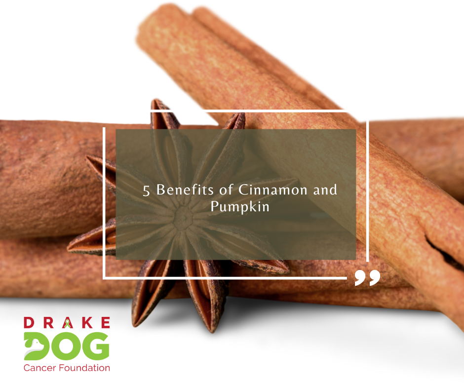 5 Benefits of Cinnamon and Pumpkin
