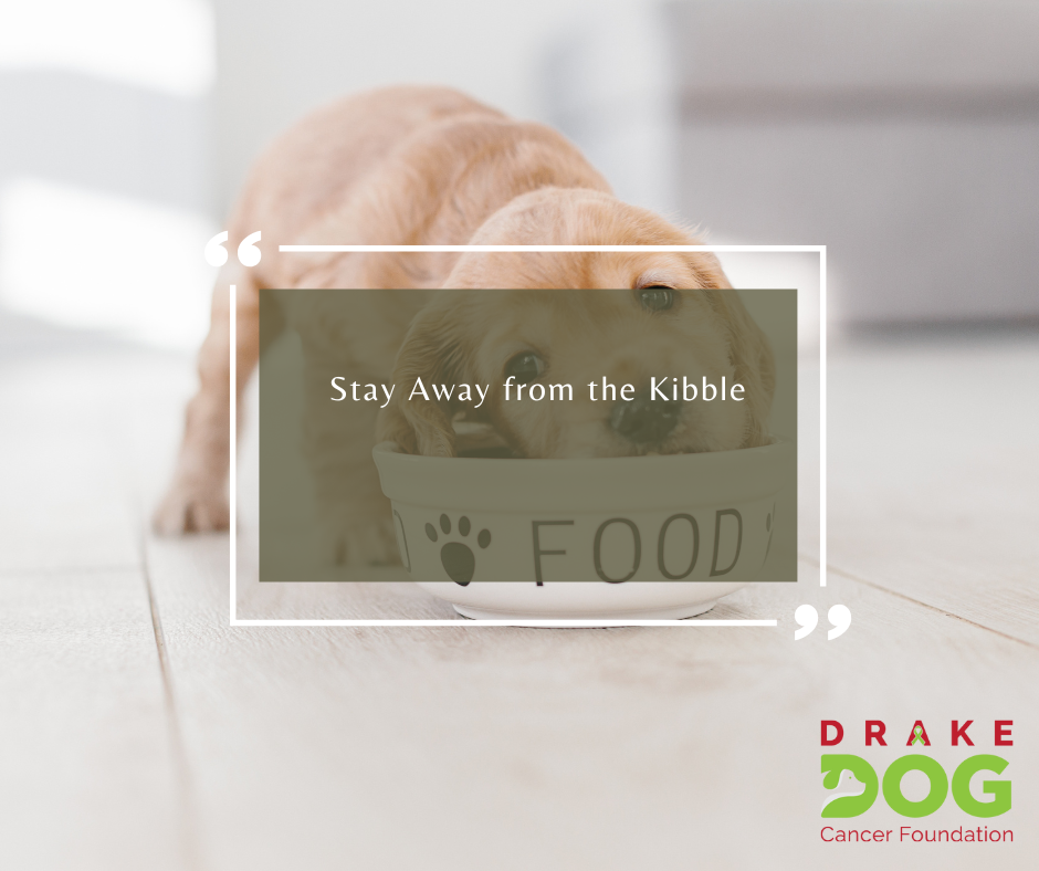 Stay Away from the Kibble