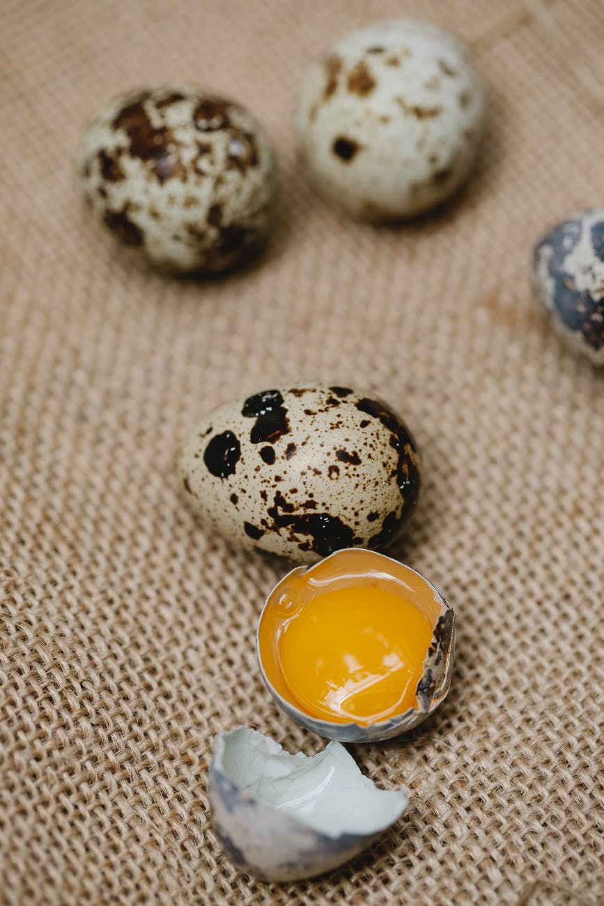 broken quail egg among whole eggs