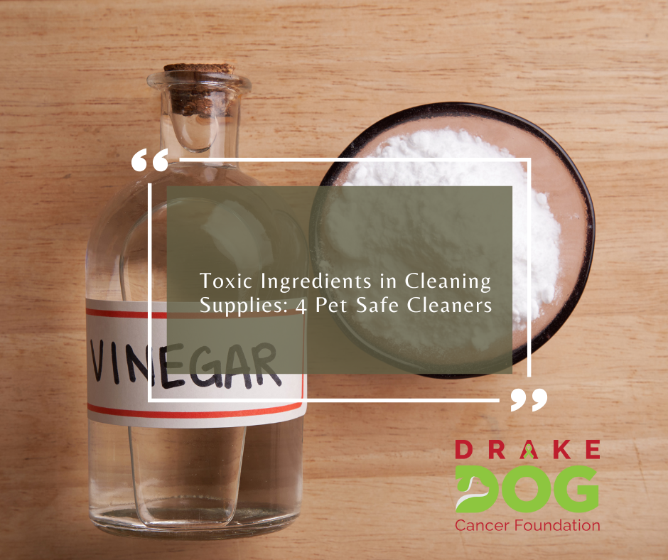 Toxic Ingredients in Cleaning Supplies: 4 Pet Safe Cleaners