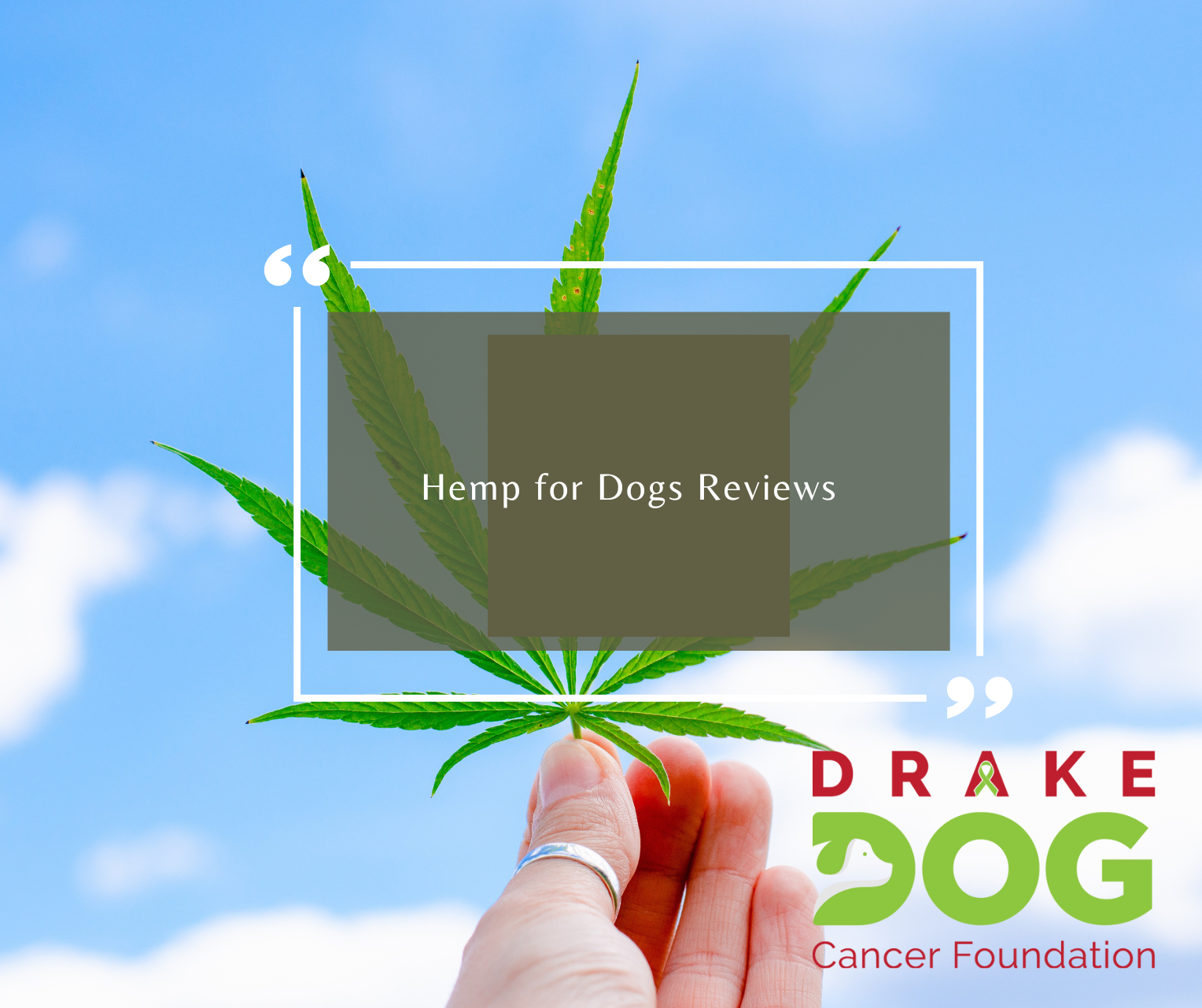 hemp for dogs reviews