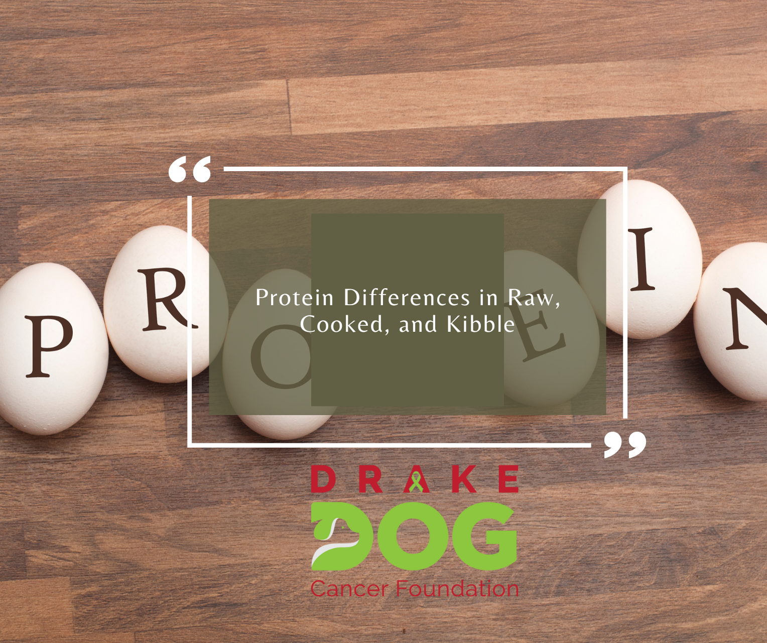 Protein Differences in Raw Cooked and Kibble