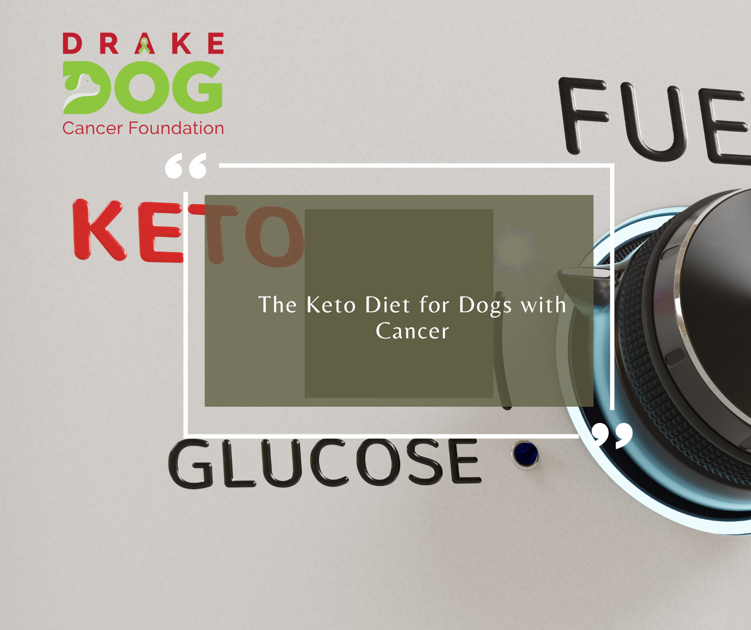 The Keto Diet for Dogs with Cancer