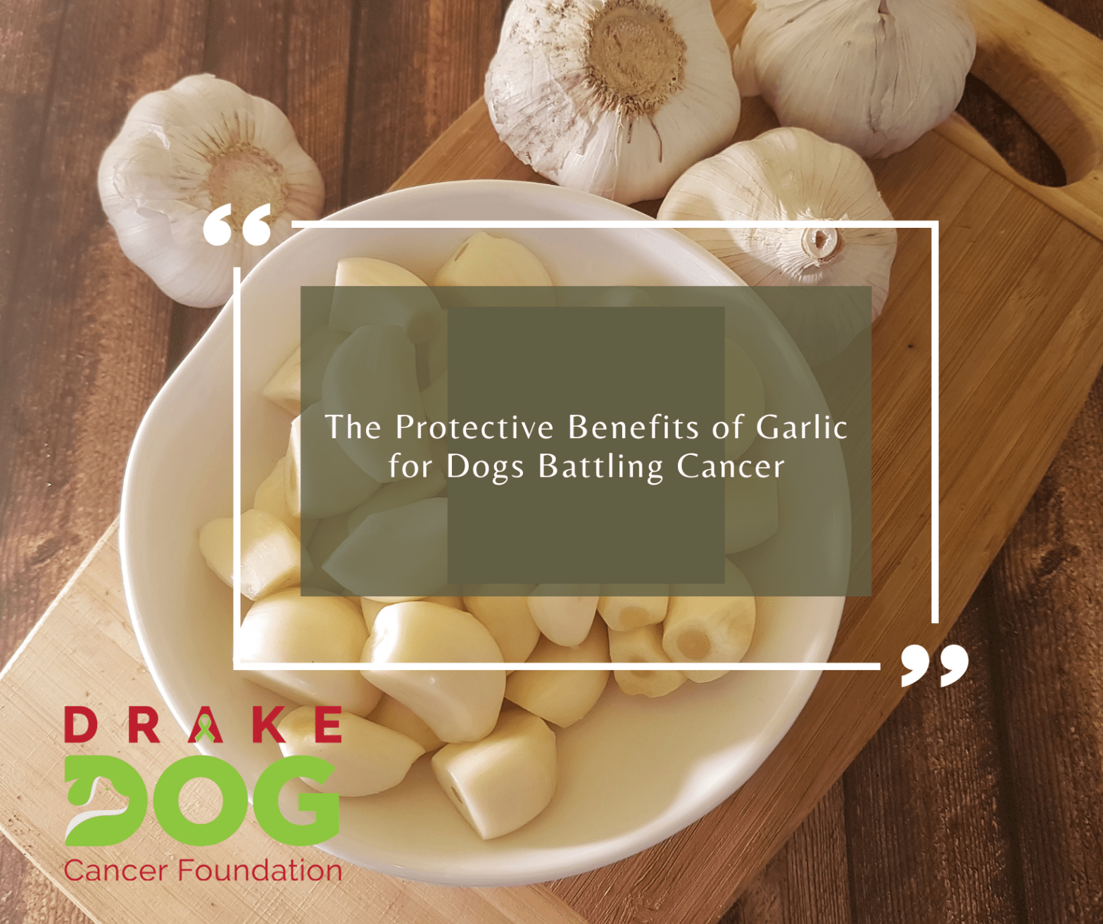 The Protective Benefits of Garlic for Dogs Battling Cancer